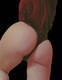 Foto privada de jessicajox