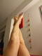 Foto privada de RedPower